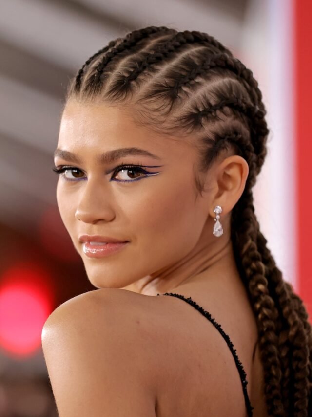 Amazing braids hairstyles 2022 pictures